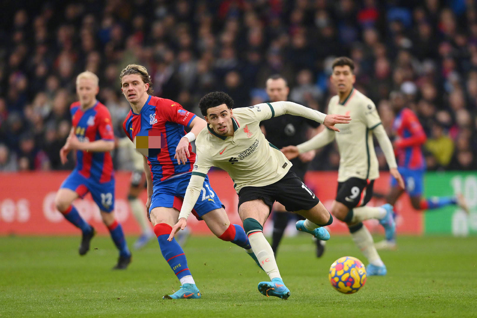 们奋勇前行 们奋勇前行